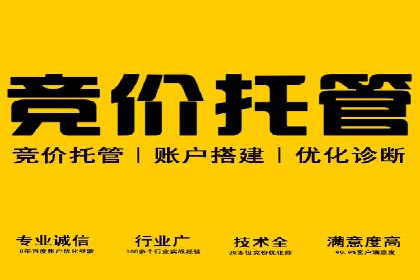 百度竞价广告代运营的五大优势及在某行业的成功应用